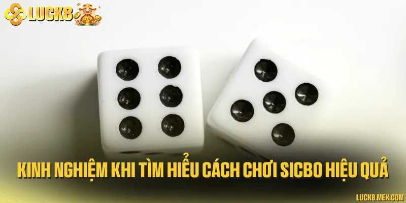 Kinh nghiệm khi tìm hiểu cách chơi sicbo hiệu quả