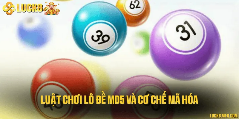 Luật chơi lô đề MD5 và cơ chế mã hóa