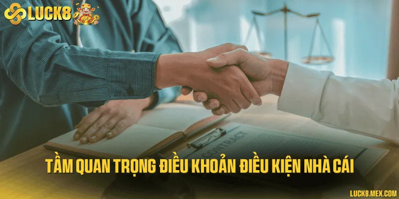 Vai trò của các điều khoản điều kiện ở nhà cái trực tuyến