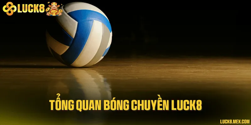 Tổng quan bóng chuyền LUCK8