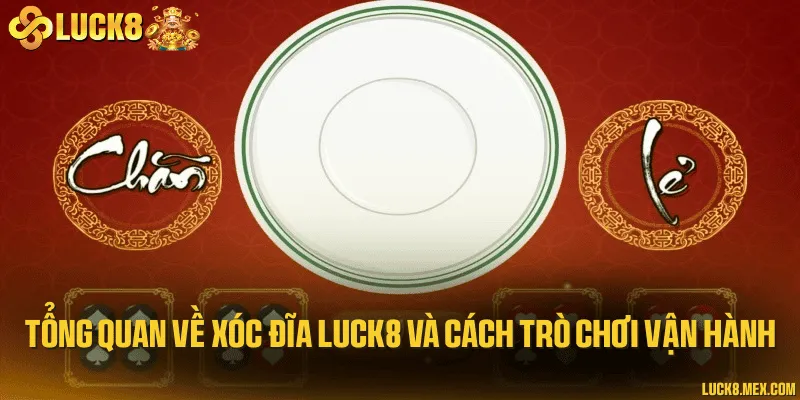 Tổng quan về xóc đĩa LUCK8 và cách trò chơi vận hành