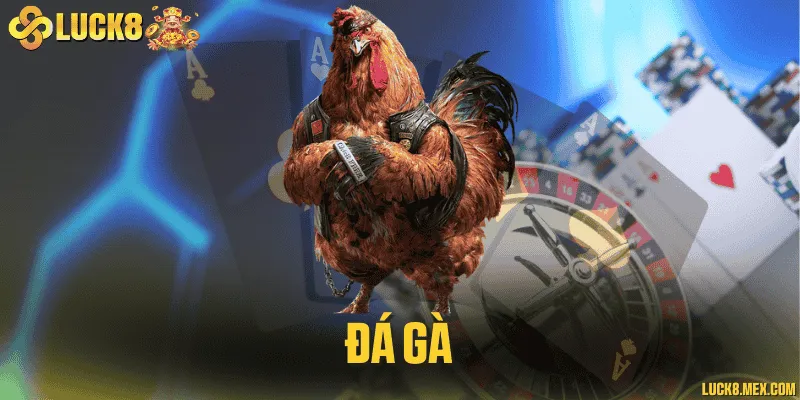 Đá gà LUCK8 livestream sắc nét, tỷ lệ cược hấp dẫn nhất hiện nay